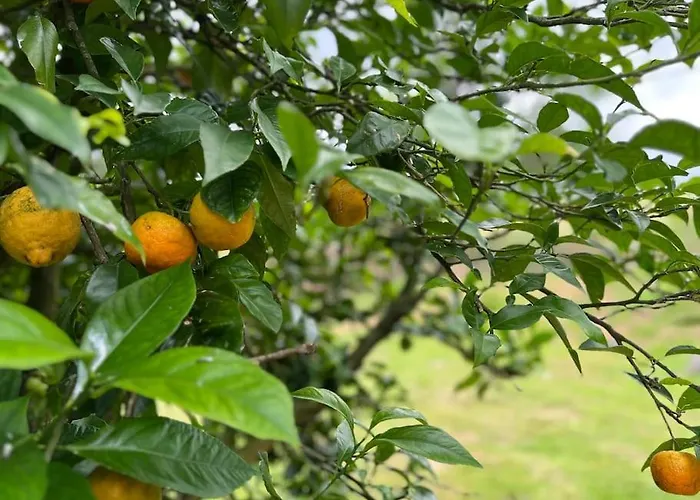 Casa El Mozo - Monabri Solorzano